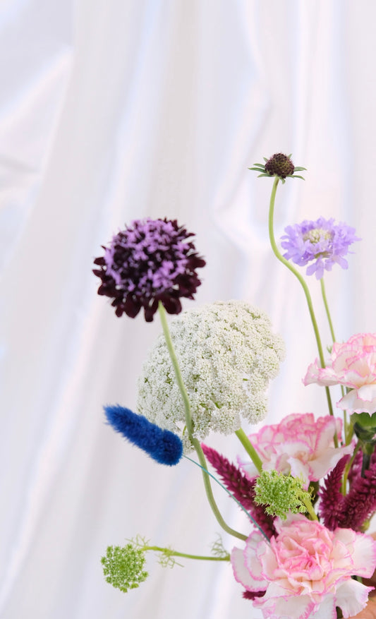 Mini Silvestra en tonos rosados