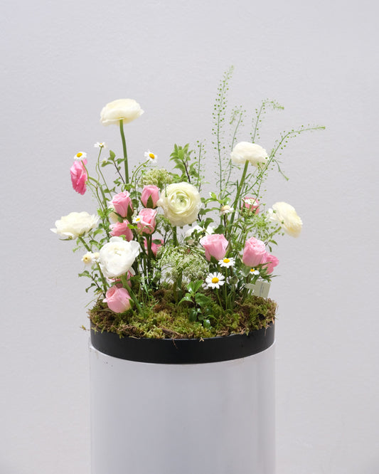 Mini jardín
