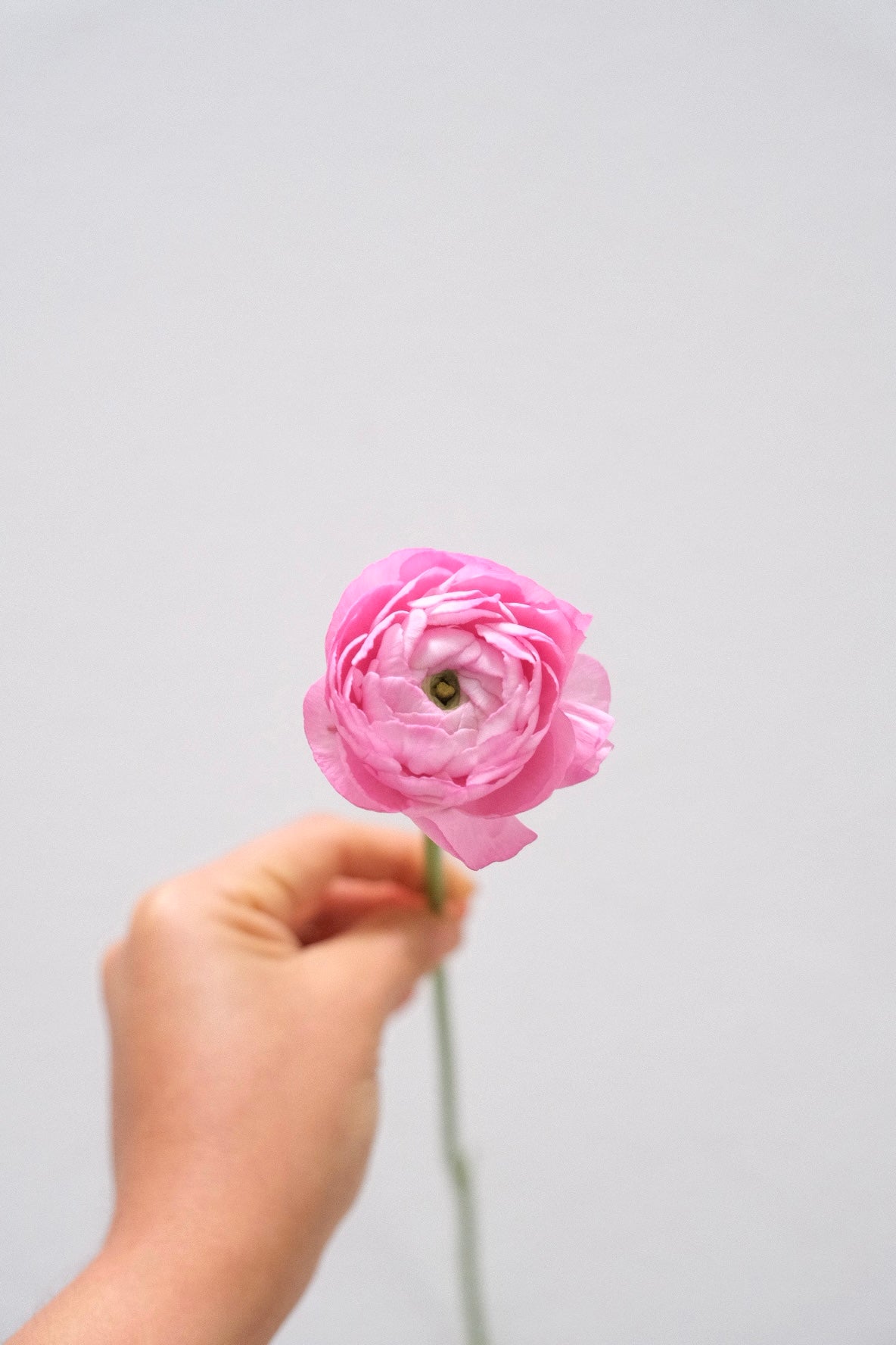 Ramo Plenitud Floral