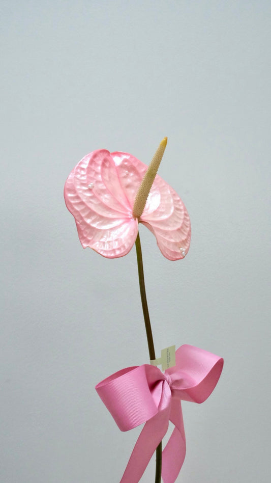 Un fragmento de ahora